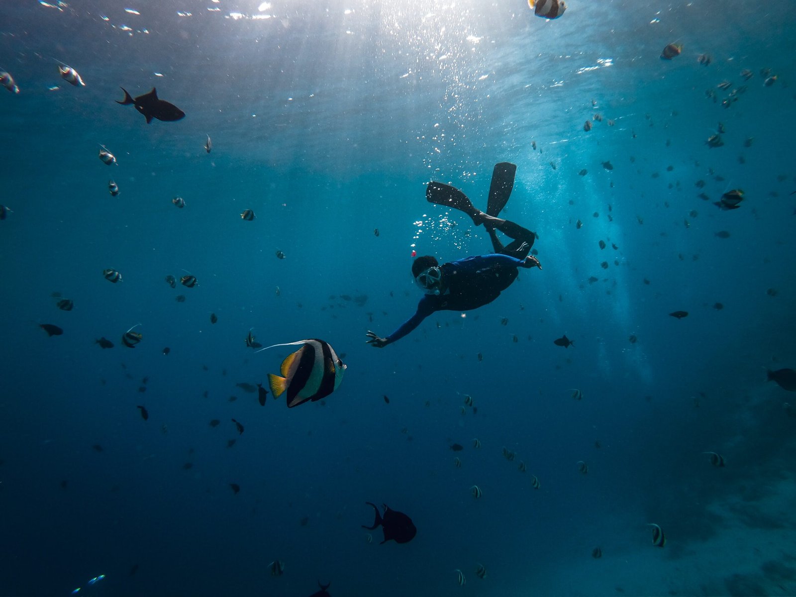 Why Clean Water is Vital for the Future of Our Oceans